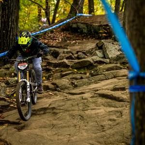 Meet your Posher, George